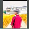 dinu_page2