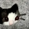 ng_yeu_amnhac