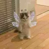 gabbygjab