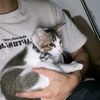 hend_rick2