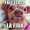 naidanadaqueverienta_