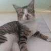 ririn5137