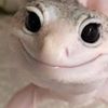 kemqws