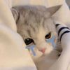 yad_357