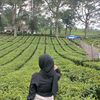 billa_bill6