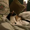 sko_7710