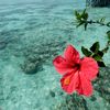 nanou_anna424