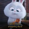 dnluxluf