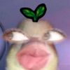 octabenjijanji
