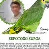 gajahputih_