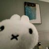 yu__.kii