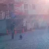 むねとと