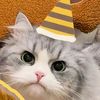 lilywaslitgurl
