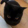 3ちゃん