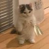 man_kindnesskira