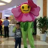 haihoang_211