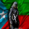 babul.baloch0314