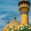 ديْمَا(ج)…🖤
