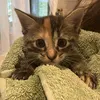 cichy_17_2