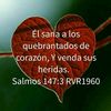 auraromero6157