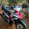 maiquy011