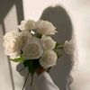 noor52457