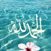 user6739570481153