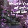 rogelio.flores770