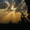 ali__20_71