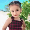 alin.qasem