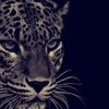 abrar3146