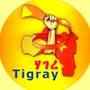 yibeyntsegayt.d.f