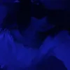 chari_695678