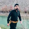shex_danar37