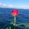 haticehasan272