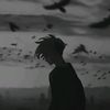 skyy_bot11