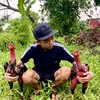 khoa.lu.khnh