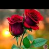 abebe.chebeso.oli