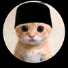 putri.amelia1778