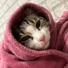 kat..kat_