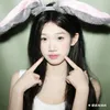 hcte_3003