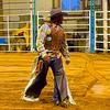 bbbullrider