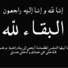 user4741135152807