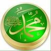 amer.el.masri
