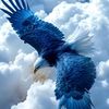 user19271445103933
