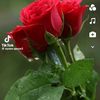 maxamedkuusow1