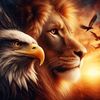 nawaz2420627452955
