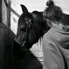 nellkaa
