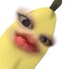 sasalikeseaa