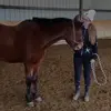 le.poney.bai.de.tiktok